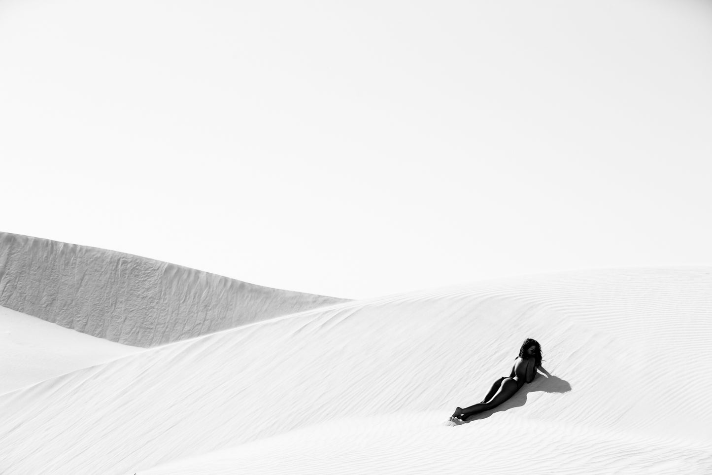 ARID